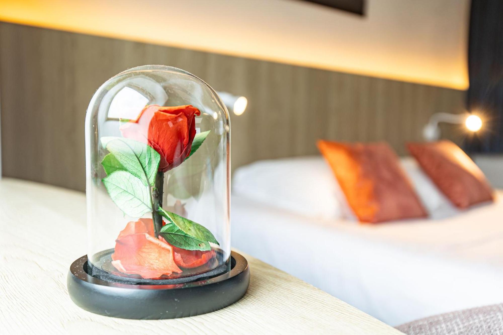 Hotel De France 카마레 쉬르 메르 외부 사진